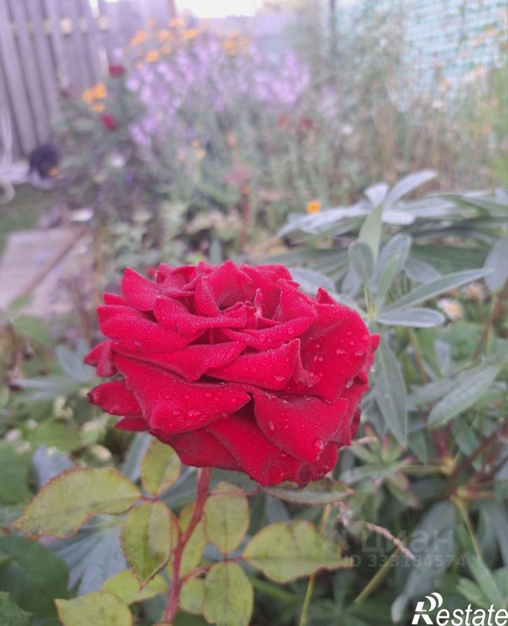 Коттедж/дом Новосибирск, ТСН Восход Пашинский, 221