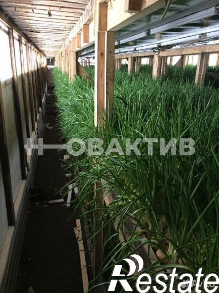 Производственное помещение Центральная улица, 18,  д. 18